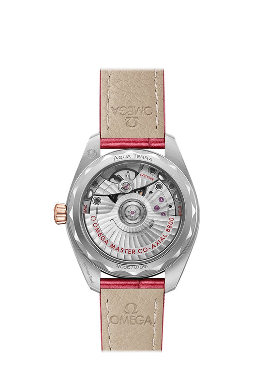Omega Replica Watch Seamaster AQUA TERRA 150M CO‑AXIAL MASTER CHRONOMETER 220.28.34.20.60.001