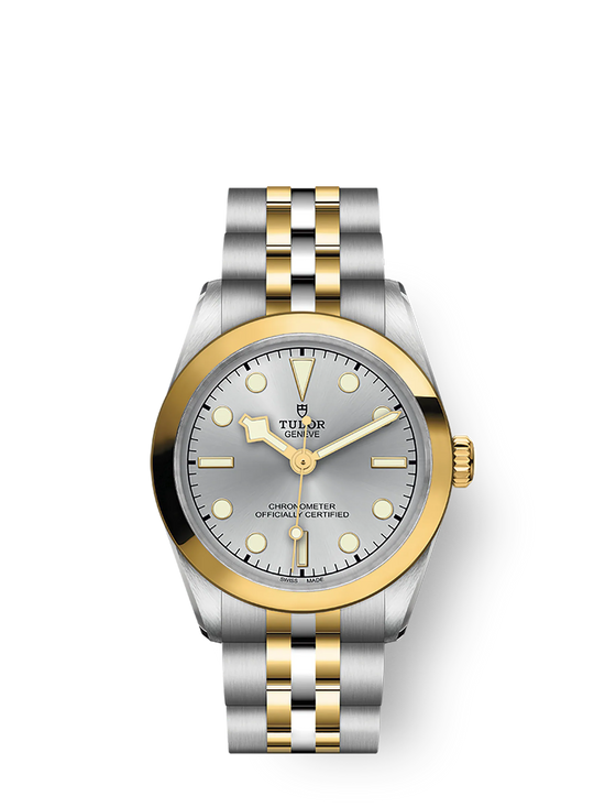 Tudor Replica Watch Black Bay 36 S &G, Stainless Steel and 18k Yellow Gold, M79643-0002