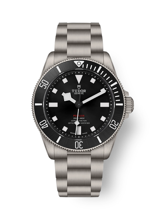 Tudor Replica Watch Pelagos 39, Grade 2 Titanium, 39mm, M25407N-0001